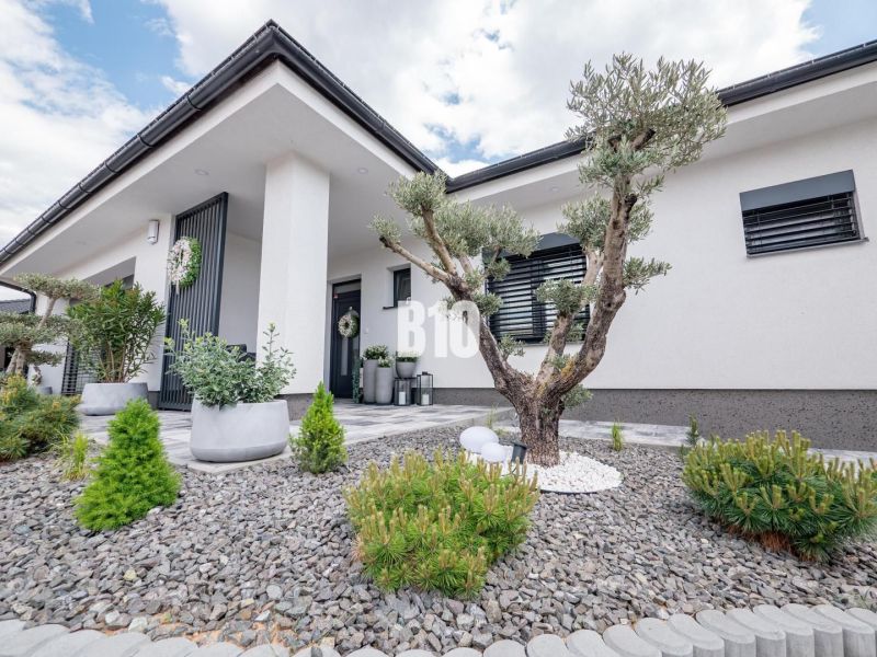 Einfamilienhaus in Nitra mit gepflegtem Garten, Ziersträuchern und Steindesign.
