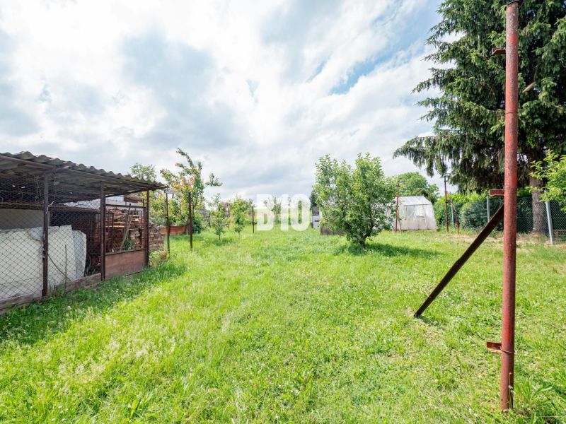 Rasenfläche im Garten eines Einfamilienhauses in Nitra mit Bäumen und einem Schuppen.