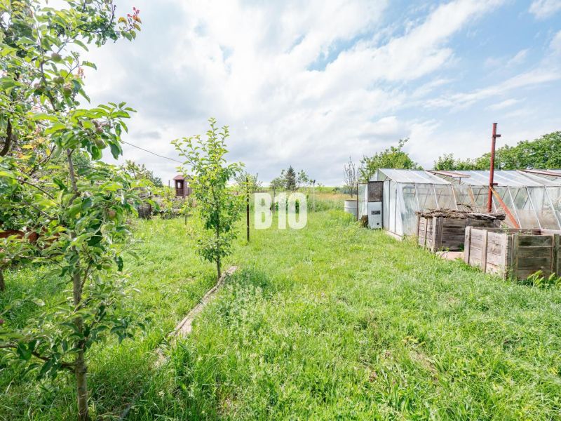 Der Garten des Einfamilienhauses in Nitra mit Obstbäumen und Gewächshäusern.