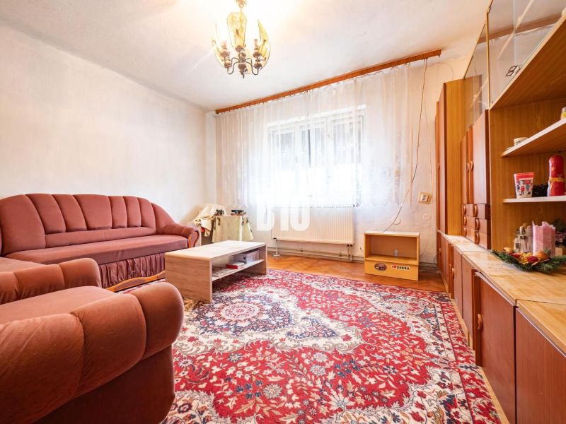 Wohnzimmer in einem Einfamilienhaus mit Sofa, Sessel und Teppich auf einem Boden mit Holzdekor.