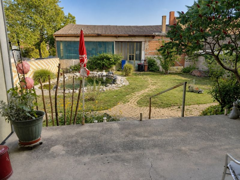 Der Garten beim Einfamilienhaus in Podersdorf am See mit einem Gartenteich und Vegetation.