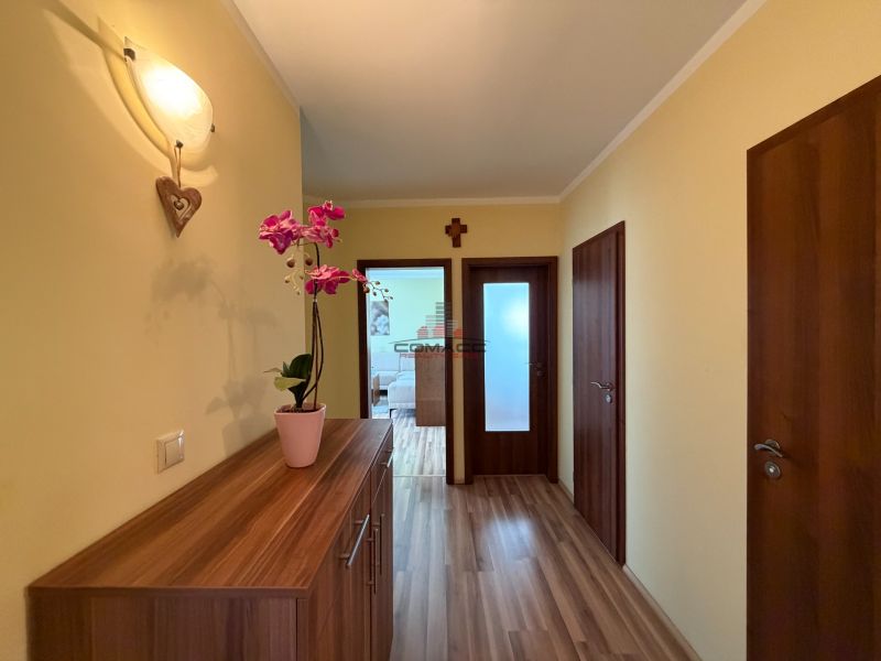 Der Flur in der 3-Zimmer-Wohnung mit einem Boden in Holzoptik und einer dekorativen Pflanze.