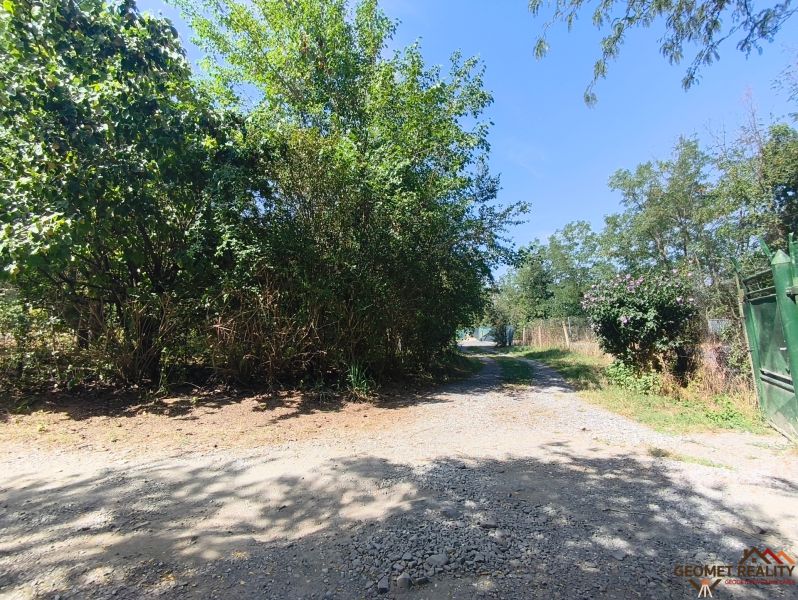 Ein Garten in Lučenec mit einem gepflasterten Weg, umgeben von dichtem Grün und klarem Himmel.