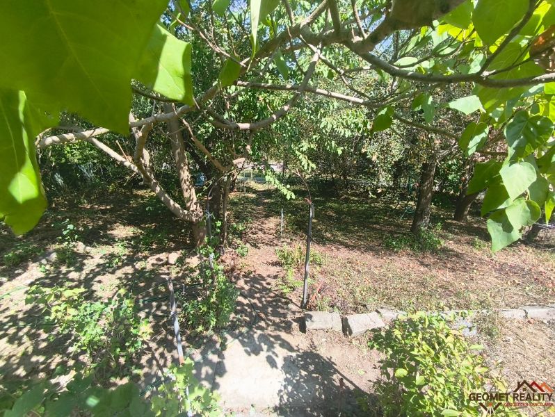 Gärten in Lučenec mit üppiger Vegetation und schattigen Winkeln zwischen den Bäumen.
