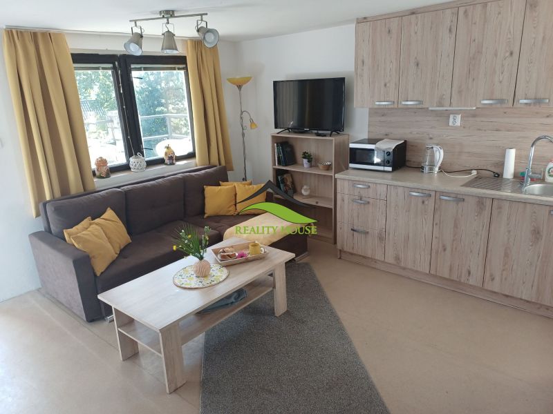 Wohnzimmer in einer Hütte mit Sofa, Küchenzeile und Holzboden.