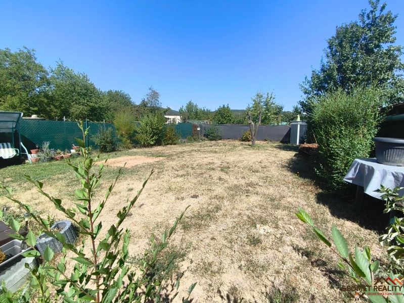 Der Garten beim Einfamilienhaus in Divín mit Rasen und Blumen, umgeben von einer Hecke.