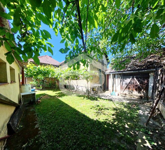 Der Garten des Einfamilienhauses in der Sládkovičova 135 in Zlaté Moravce mit Rasen und Bäumen.