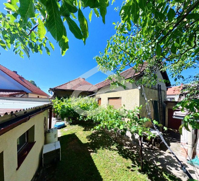 Das Einfamilienhaus in der Sládkovičova 135 in Zlaté Moravce mit grünem Hof und Weinberg.
