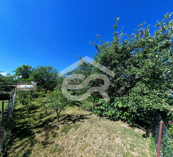 Garten bei einem Einfamilienhaus in der Sládkovičova-Straße 135, Zlaté Moravce, mit Obstbäumen.