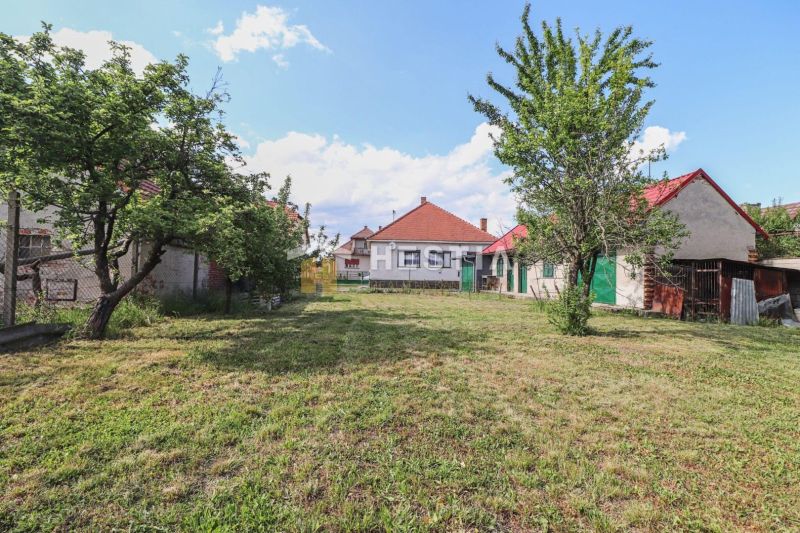 Grundstück bei einem Einfamilienhaus in Borský Mikuláš mit Rasen und Obstbäumen.