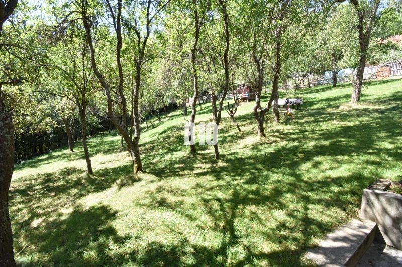 Garten in Dlhé Pole bei einem Einfamilienhaus mit Rasenfläche und Bäumen.