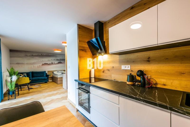 Küche mit Holzelementen, Sofa und Kunstwand in der Ferienwohnung.