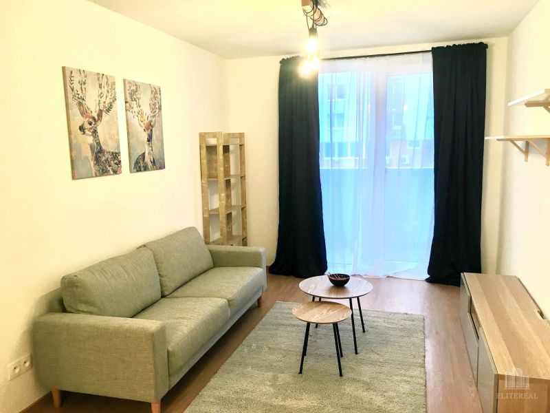 Wohnzimmer in einer 2-Zimmer-Wohnung mit Sofa und Tischen auf einem Boden mit Holzdekor.