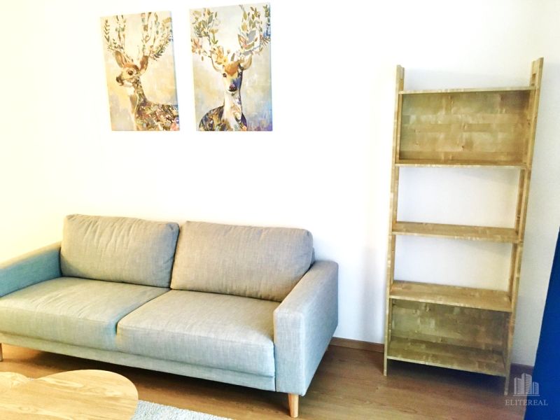 Bequemes Sofa und Regal im Wohnzimmer einer Zweizimmerwohnung mit Bildern von Hirschen.