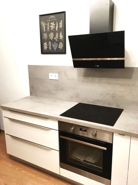 Küche in einer 2-Zimmer-Wohnung mit Kochfeld, Backofen und einem Bild mit Kräutern.