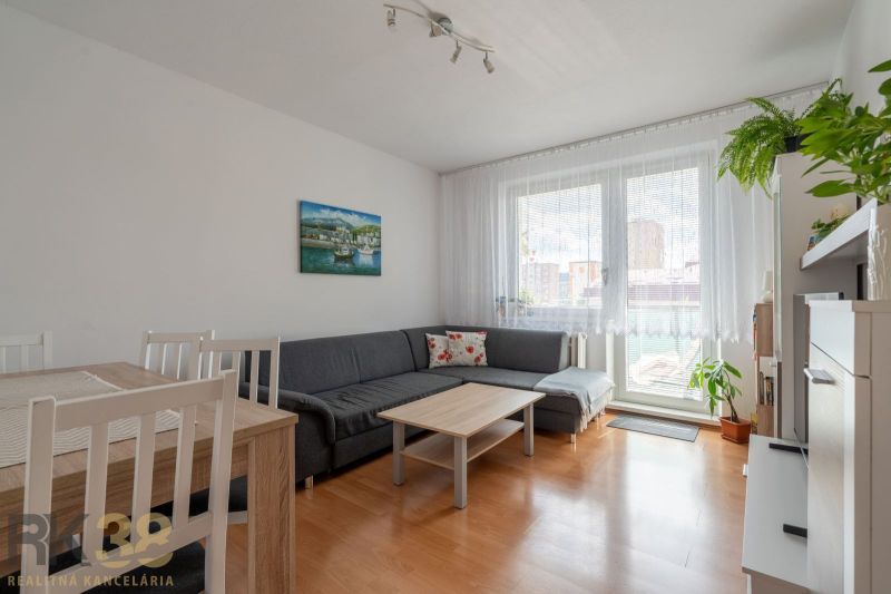Helles Wohnzimmer in einer 3-Zimmer-Wohnung mit Holzboden und Sofa.