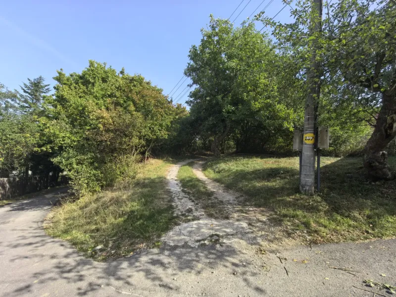 Ein sichtbarer verzweigter Weg in den Gärten von Kolačna, umgeben von Grün und einem Strommast.