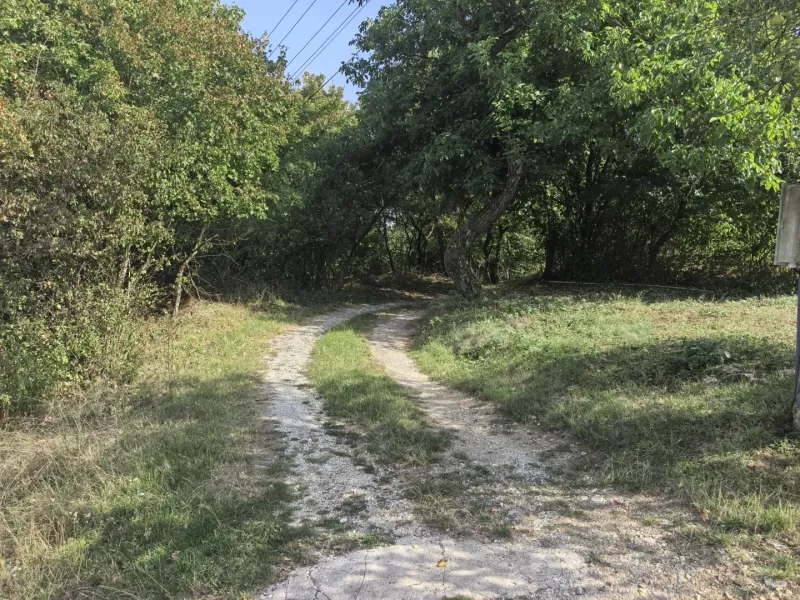 Ein Waldweg in den Gärten von Kolačna, umgeben von Bäumen und Sträuchern unter blauem Himmel.