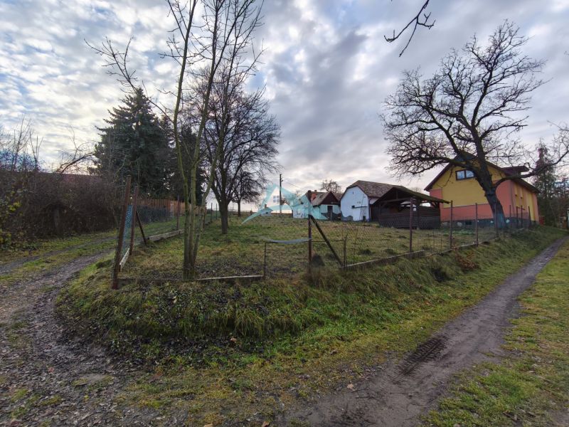 Ein Einfamilienhaus in Prieloh in Dolná Strehová mit einem eingezäunten Garten, Bäumen und einer Zufahrtsstraße.