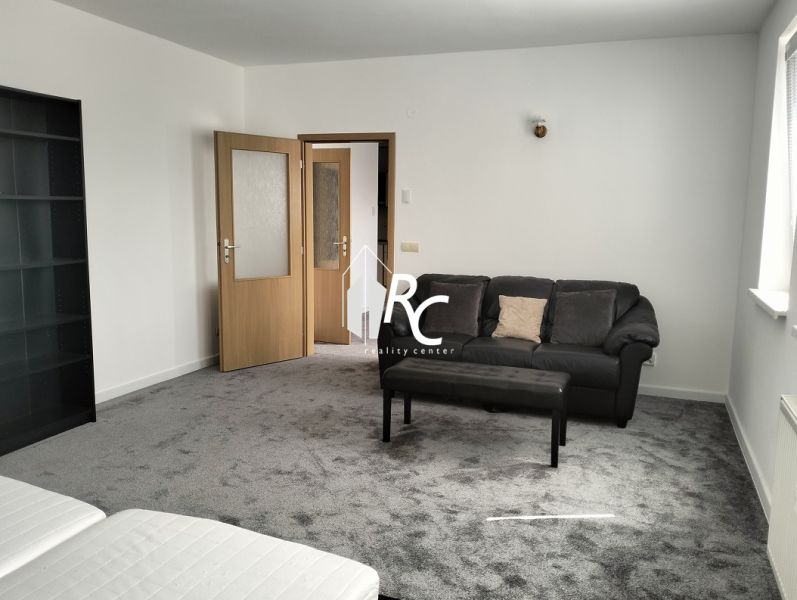 Wohnzimmer in einer Zweizimmerwohnung mit dunklem Teppich, Sofa und Sessel.