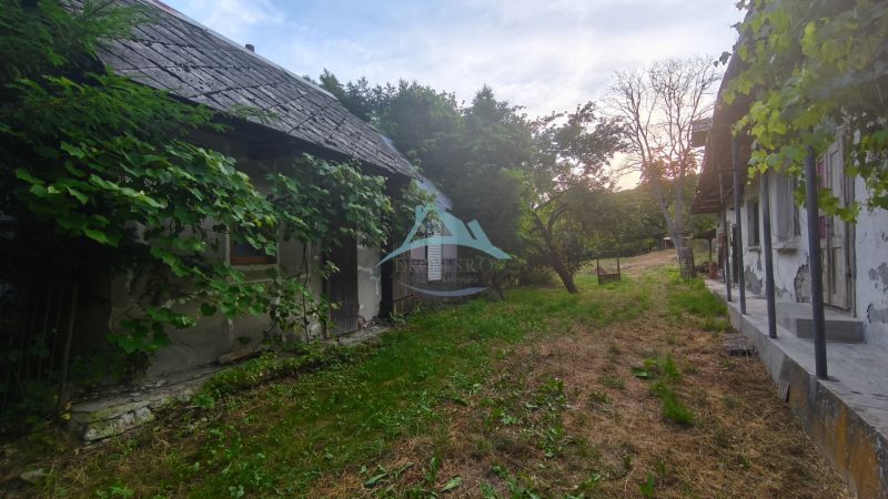 Ein Haus in Čelovce mit Kletterpflanzen und Garten.