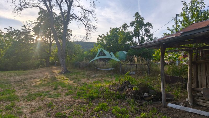 Ein ruhiges Gartengrundstück bei einem Einfamilienhaus in Čelovce mit Bäumen und einem Unterstand.