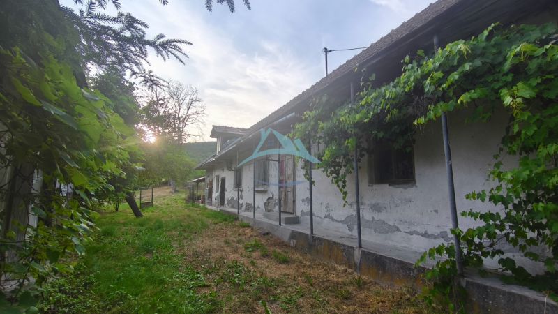 Ein älteres Familienhaus in Čelovce, umgeben von Grün mit einem Sonnenuntergang im Hintergrund.
