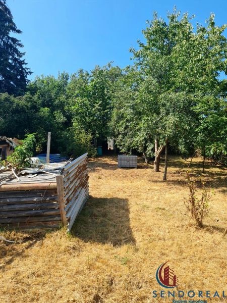 Garten bei einem Einfamilienhaus in Dolné Otrokovce mit dichtem Baumbestand.