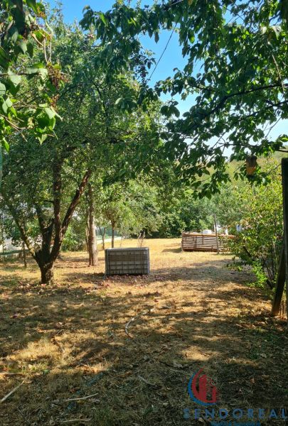 Garten in Dolné Otrokovce mit Obstbäumen bei einem Einfamilienhaus.
