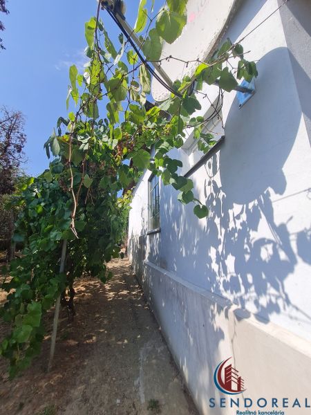 Das Äußere eines Einfamilienhauses in Dolné Otrokovce mit Weinreben an der Wand.