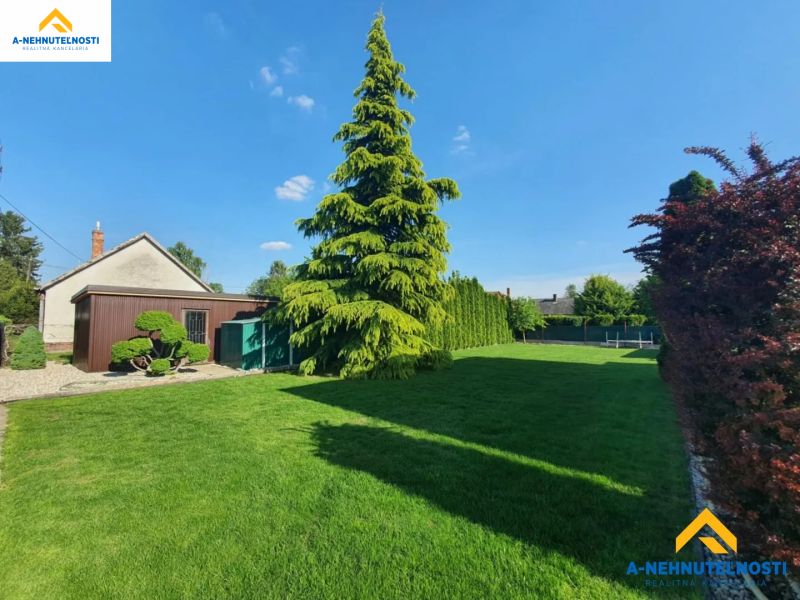Garten mit Rasen und Bäumen in Dolný Štál, Raum geeignet für Grundstücke - Wohnen.