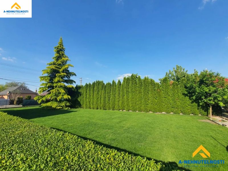 Ein ruhiger Garten, umgeben von Bäumen in Dolný Štál, geeignet für Wohnbaugrundstücke.