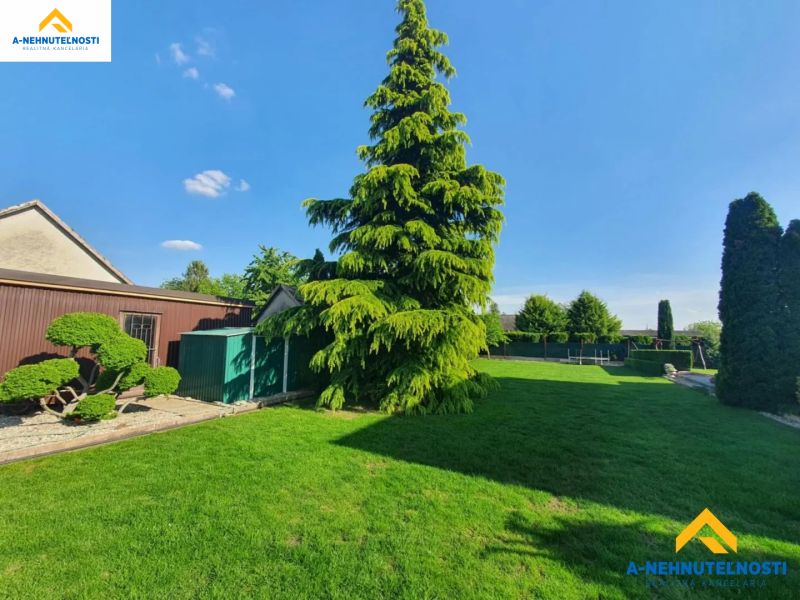 Garten mit Rasen und Baum in Dolný Štál, geeignet für Grundstücke - Wohnen.