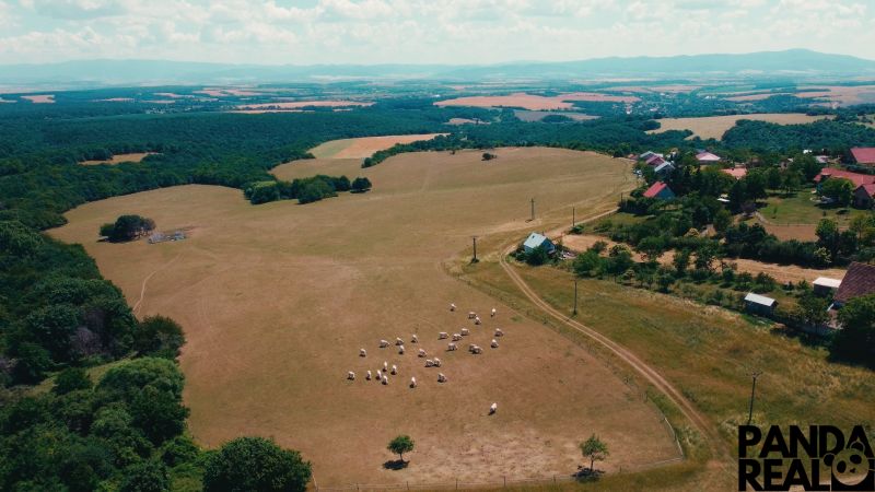 Grundstück in Podhradí mit Weiden und Schafen zu verkaufen, geeignet für Wohnbau.