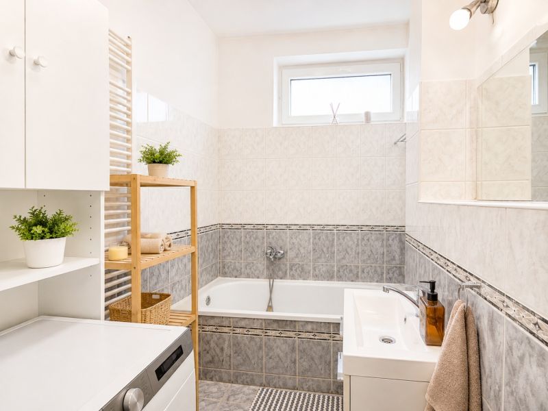 Badezimmer mit Dusche, Waschbecken, Schränken und Pflanzen in einer Vierzimmerwohnung.