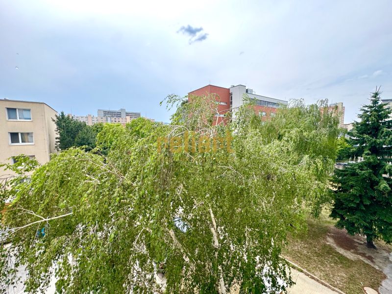Ein Blick auf die grünen Bäume in Bratislava - Dúbravka, Sekurisova, umgeben von Wohngebäuden.