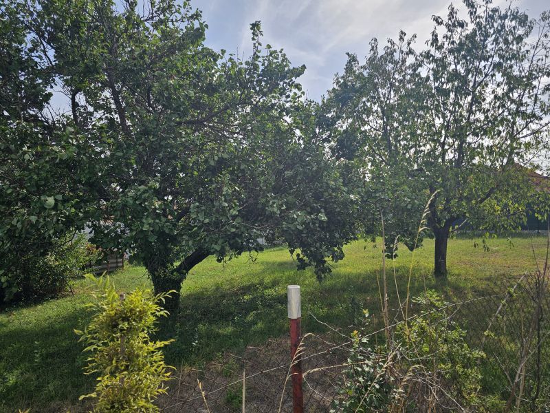 Ein Garten mit Obstbäumen in der Dvorčanská-Straße in Nitra bei einem Einfamilienhaus.