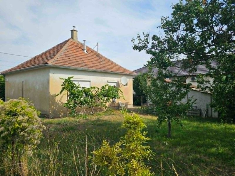 Ein Einfamilienhaus in der Dvorčanská-Straße in Dolné Krškany mit einem Rasen-Garten und Weinreben.