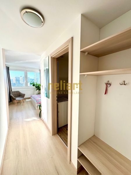 Der Flur in einer Einzimmerwohnung mit einem Boden in Holzoptik und einer eingebauten Garderobe.
