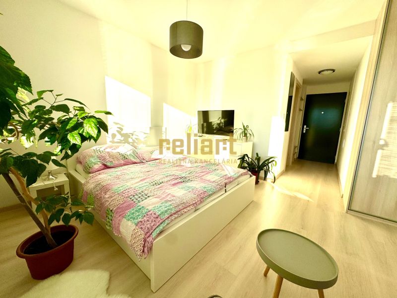 Helles Schlafzimmer in einer Einzimmerwohnung mit Pflanzen und Holzboden.