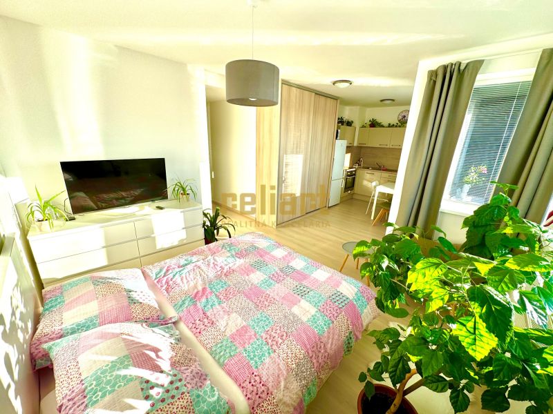 Heller Raum einer Einzimmerwohnung mit Holzboden und Pflanzen.