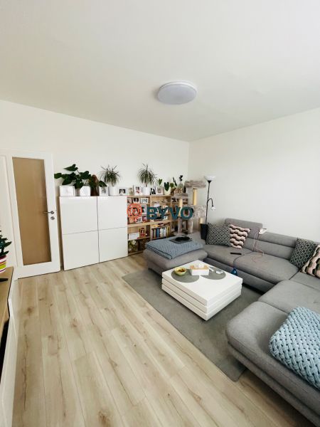 Wohnzimmer einer 3-Zimmer-Wohnung mit Sofa, Tisch, Pflanzen und Holzboden.