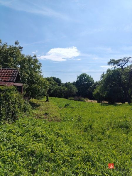 Grüne Wohnbaugrundstücke in Žehňa, umgeben von Bäumen und blauem Himmel.