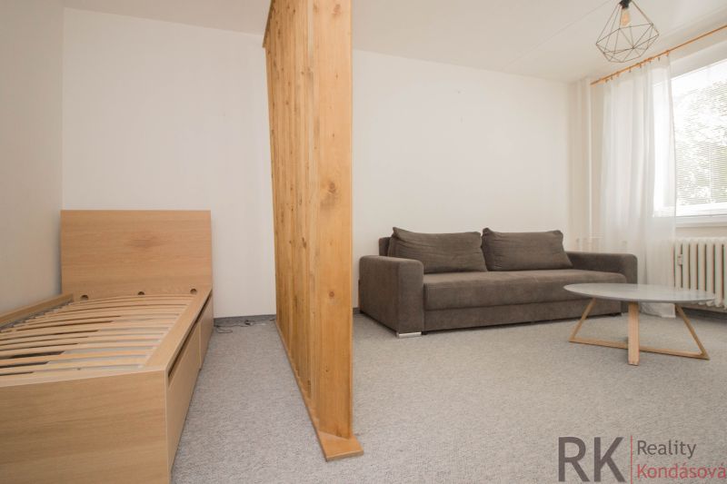Einzimmerwohnung mit Sofa, Bett und Holzwand, heller Raum.