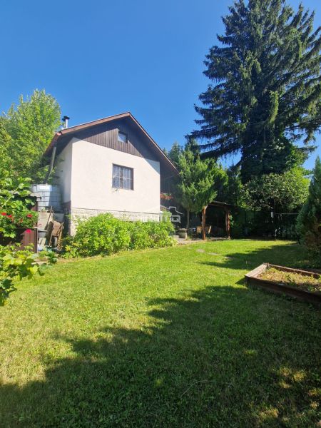 Der Garten der Hütte in Žilina mit Rasen und hohen Bäumen im Hintergrund.