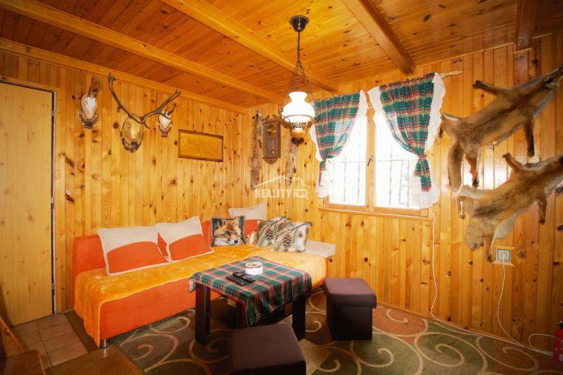 Gemütliche Hütte mit Holzverkleidung, Sofa und Jagdtrophäen an den Wänden.