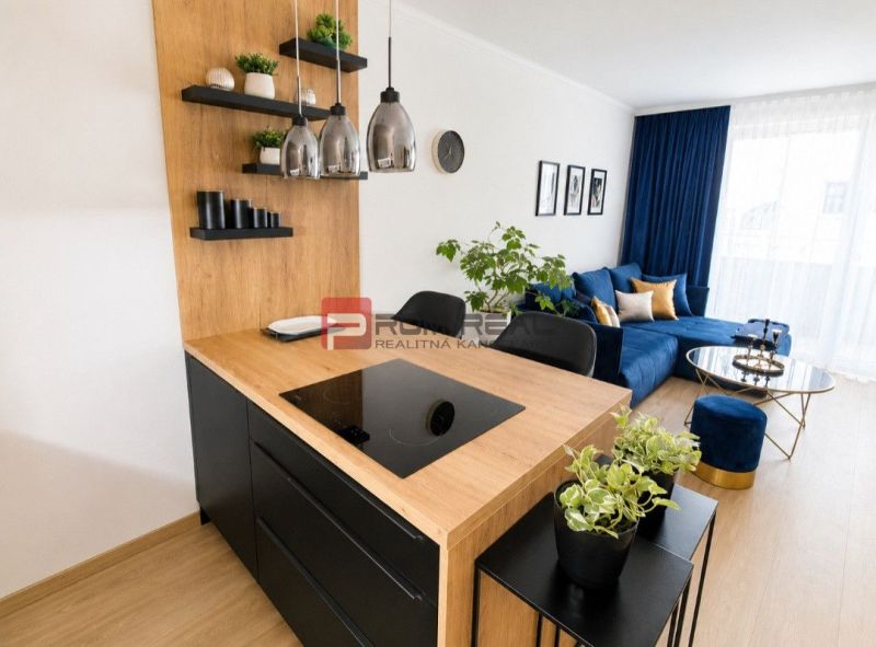 Küche mit Insel und Wohnzimmer in einer 2-Zimmer-Wohnung mit Holzboden.