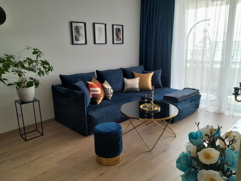 Wohnzimmer in einer Zweizimmerwohnung mit einem blauen Sofa, einem Boden in Holzoptik und Dekorationen.