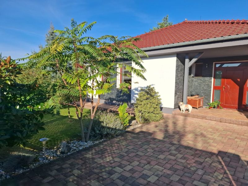 Ein Einfamilienhaus in Nové Zámky mit Rasen, Bäumen und einem Hund auf dem gepflasterten Hof.