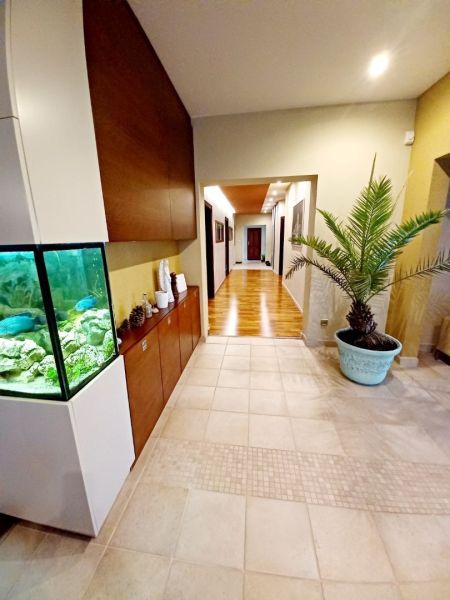 Innenraum eines Einfamilienhauses mit Aquarium, Pflanze in einem blauen Blumentopf und Fliesen.